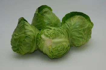 Сорти капусти Свірель F1 /  Svirel F1