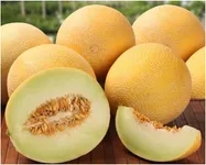 Фото Айкідо F1