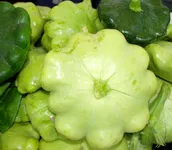 Фото Патті Грін Тінт F1 / Patty Green Tint F1