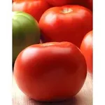 Фото Саншайн F1 / Sunshine F1