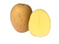 Фото Евеліна / Ewelina