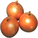 Фото Ехо F1 / Echo F1