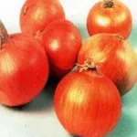 Фото Контес