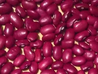 Фото Продаємо квасолю. Доставимо власним транспортом.