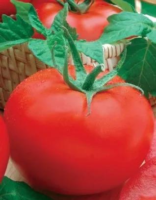 Хубаль / Hubal