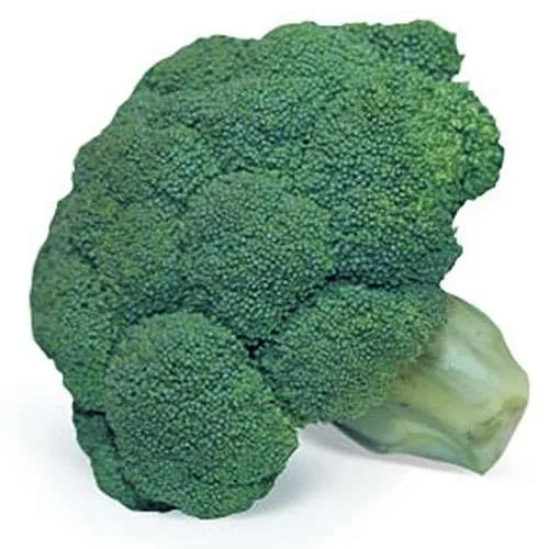 Кеззі F1 / Cazzy F1