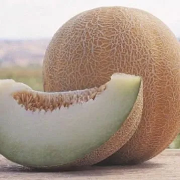 Анзер F1 / Anzer F1