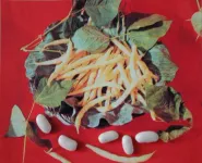 Фото Білозерна 361