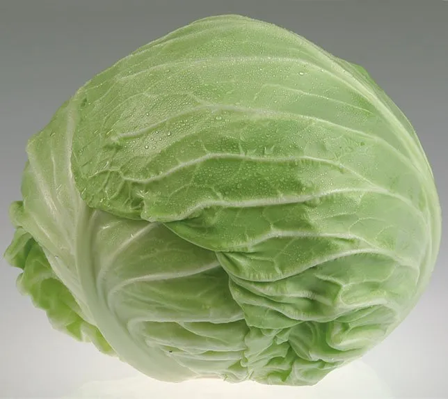 Грандслам F1 / Grandslam F1