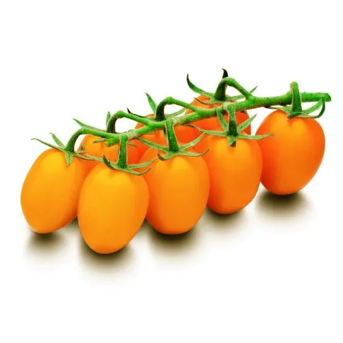 Органза F1 / Organza F1