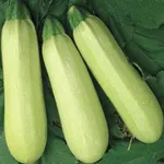 Фото Чаклун