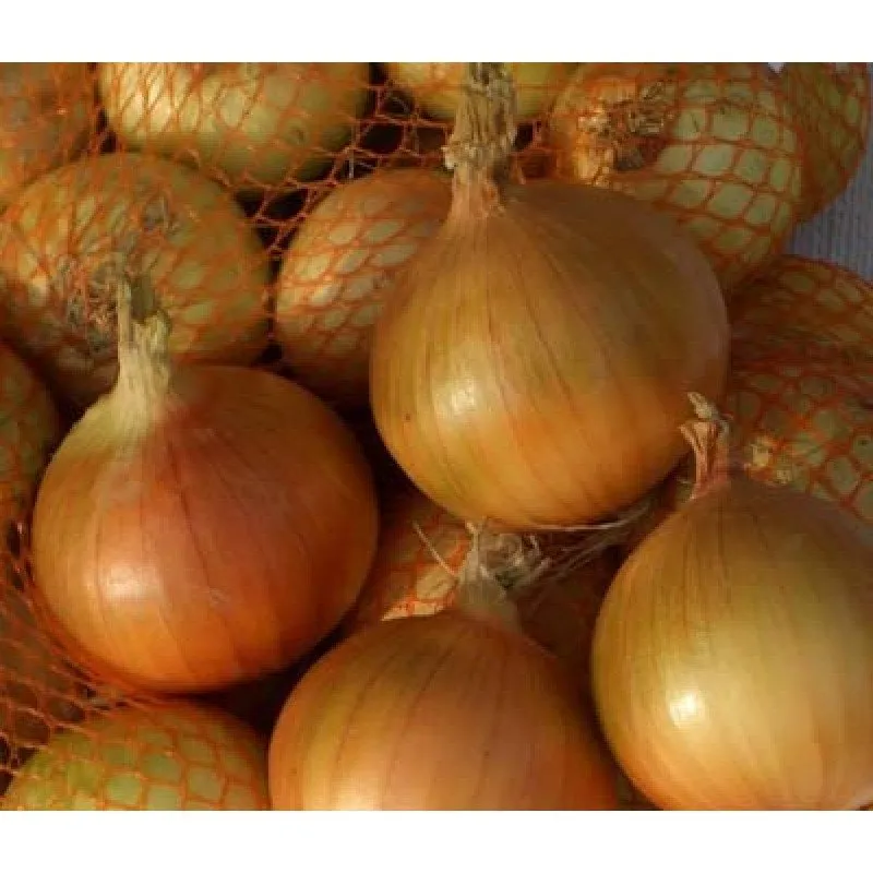 Пантер F1 / Panther F1