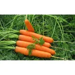 Фото Ройал Форто / Royal Forto