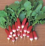 Фото Французський сніданок / French Breakfast