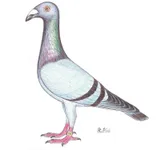 Фото Жешувський виставковий