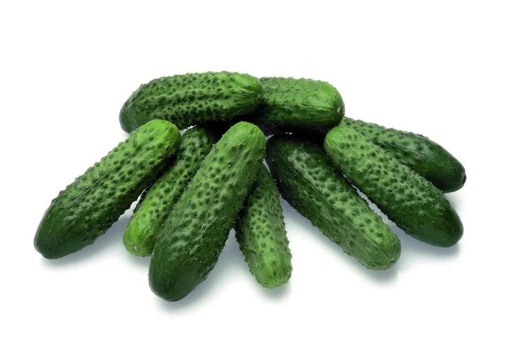 Престо РЦ F1 / Presto RZ F1