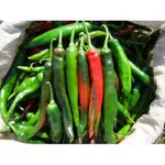 Фото Імпала F1 / Impala F1