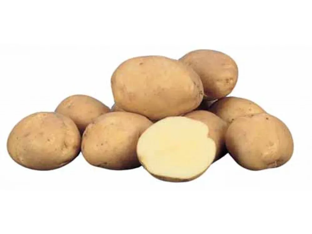 Марлен / Marlen