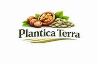 Фото Стабільний постачальник волоського горіха та фундука Plantica Terra
