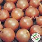 Фото Тамара F1 / Tamara F1