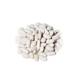 Фото Купуємо квасолю. Від 10 тон. Приймаємо різні сорти