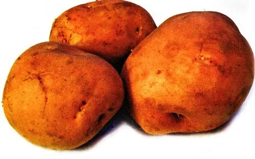 Рампель / Rumpel