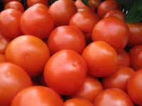 Фото Граф Каліостро F1