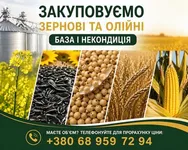 Фото Закуповуємо зернові та олійні: база і некондиція