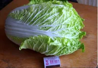 Фото Табалуга F1