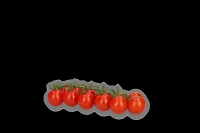 Фото Адлуцем F1 | Adlucem F1