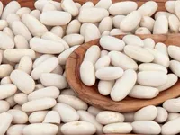 Фото Квасоля різних сортів в наявності