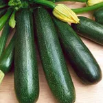 Фото Стартгрін F1 / Startgreen F1