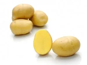 Принцесс / Princess