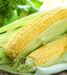 Фото Ерлі Стар / Early Star