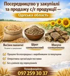Фото Посередництво у закупівлі та продажу сільськогосподарської продукції – Одеська область