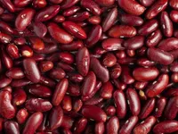 Фото Реалізуємо сортову квасолю (більше 20 сортів)