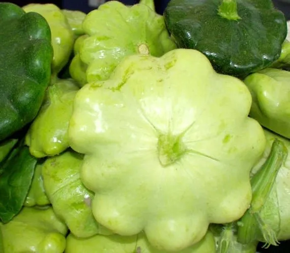 Патті Грін Тінт F1 / Patty Green Tint F1