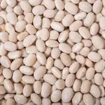 Фото Постійна закупівля квасолі від виробників