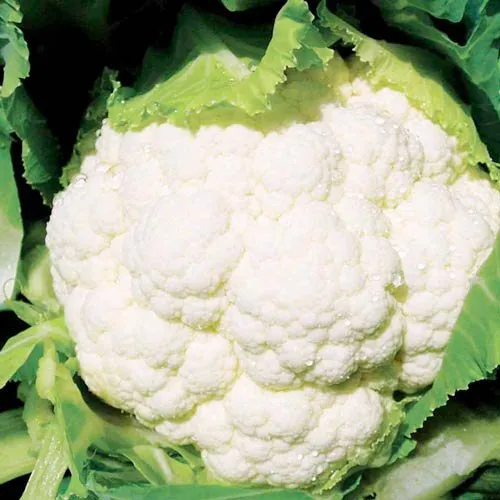 Сеул F1 / Seoul F1