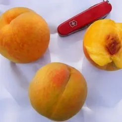 ДИТИНА ЗОЛОТО 6