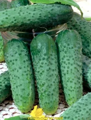 Ізид F1 / Izyd F1