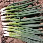 Фото Байкал