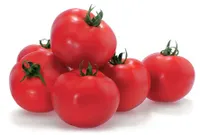 Фото Тисато F1 / Tisato F1