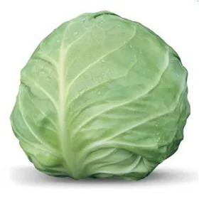 Сорти капусти Акіра F1 / Akira F1