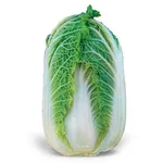 Фото Зена F1 / Zena F1