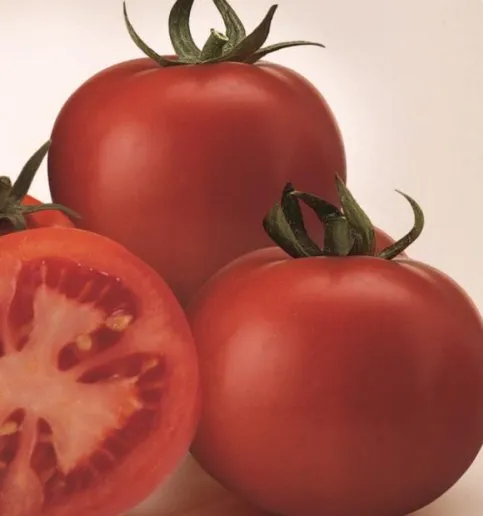 Супер сет F1