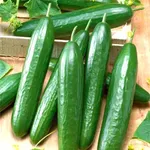 Фото Принц F1 / Prince F1