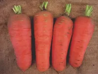 Фото Шамаре