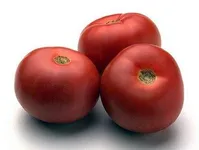 Фото ТЕХ 2720 F1