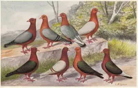 Фото Архангельський снігур